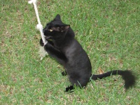 20100206 270.JPG